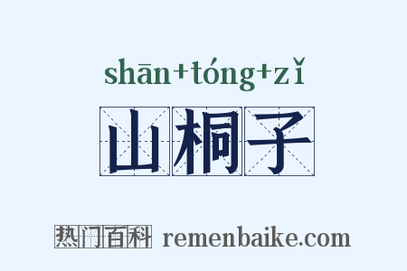 山桐子是什么意思的图片